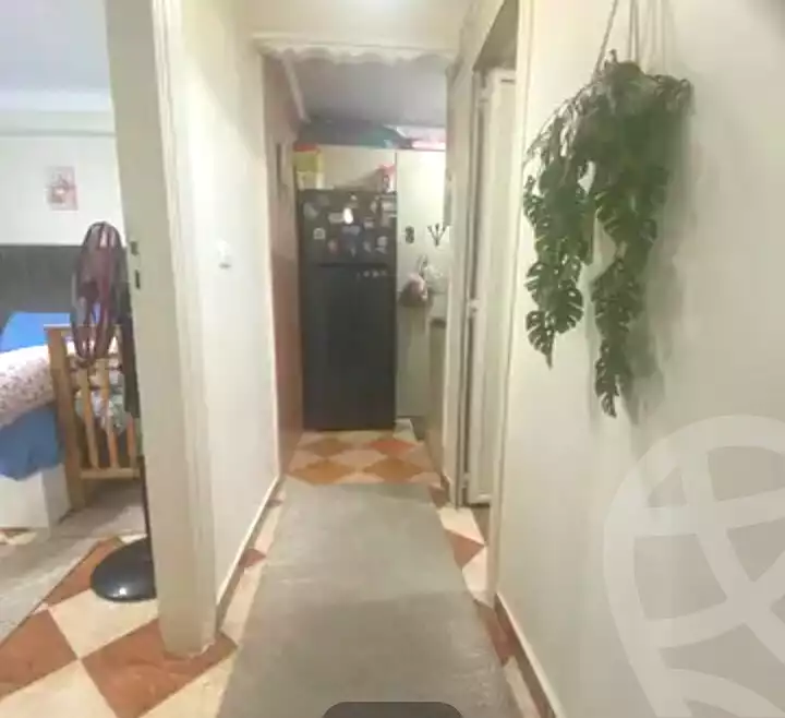 https://aqarmap.com.eg/ar/listing/7324061-for-sale-alexandria-lsywf-el-falki-street-16-el-eslah