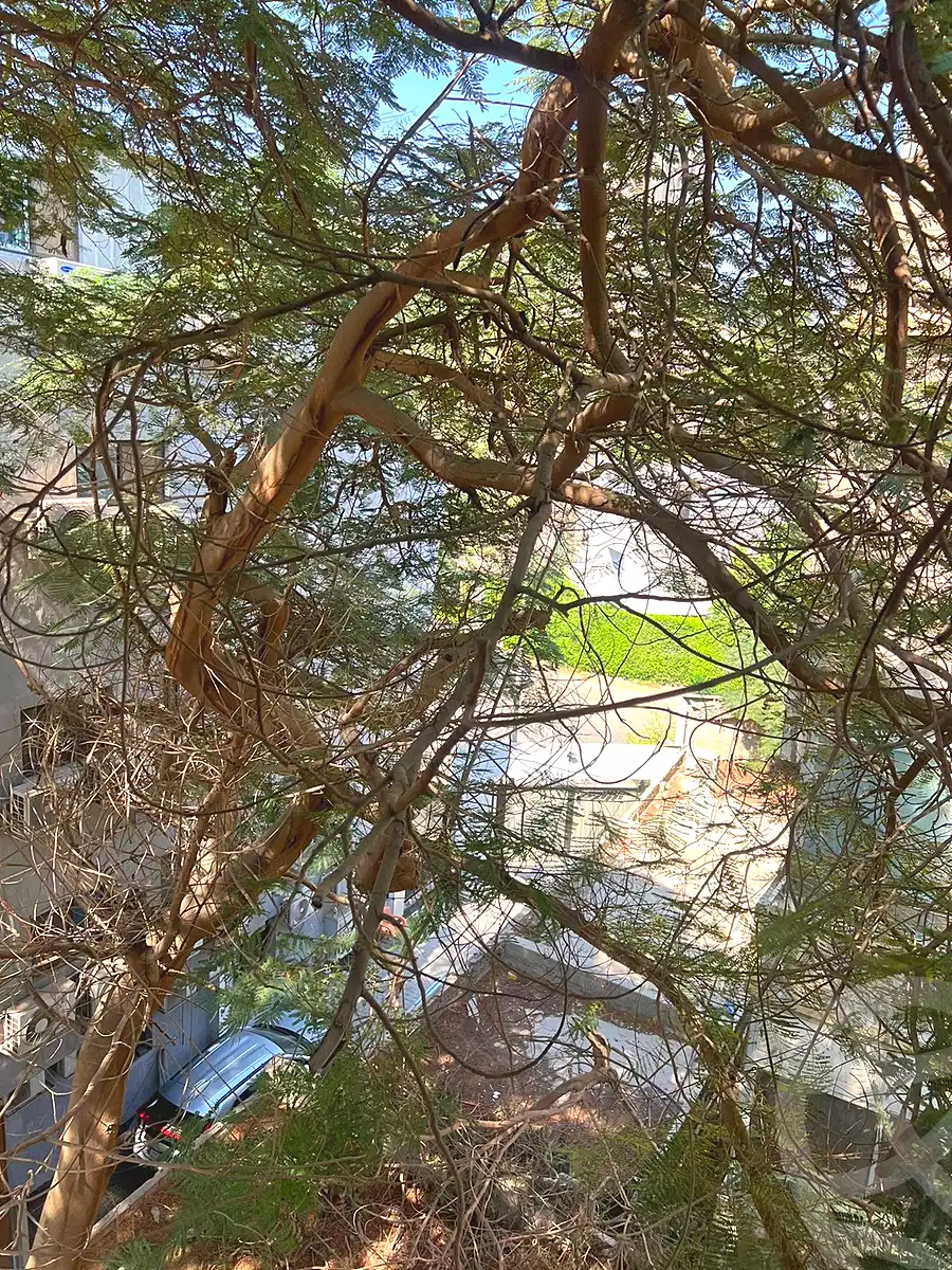 https://aqarmap.com.eg/ar/listing/7328099-for-rent-cairo-el-maadi-el-maadi-el-qadema