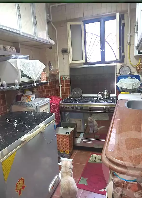 https://aqarmap.com.eg/en/listing/7331314-for-sale-alexandria-alhadara-new-el-hadra