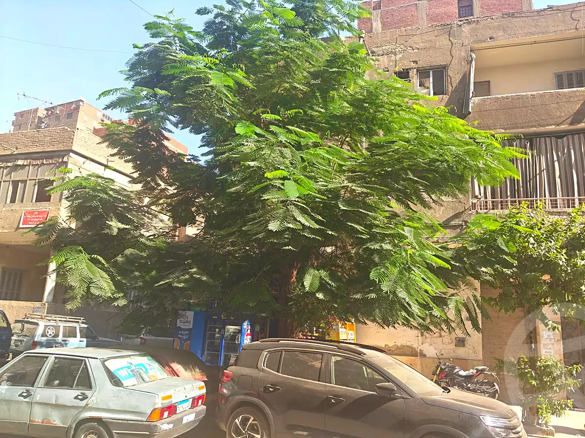 https://aqarmap.com.eg/en/listing/7331658-for-sale-cairo-hadayek-el-koba-teraat-al-gabal-st