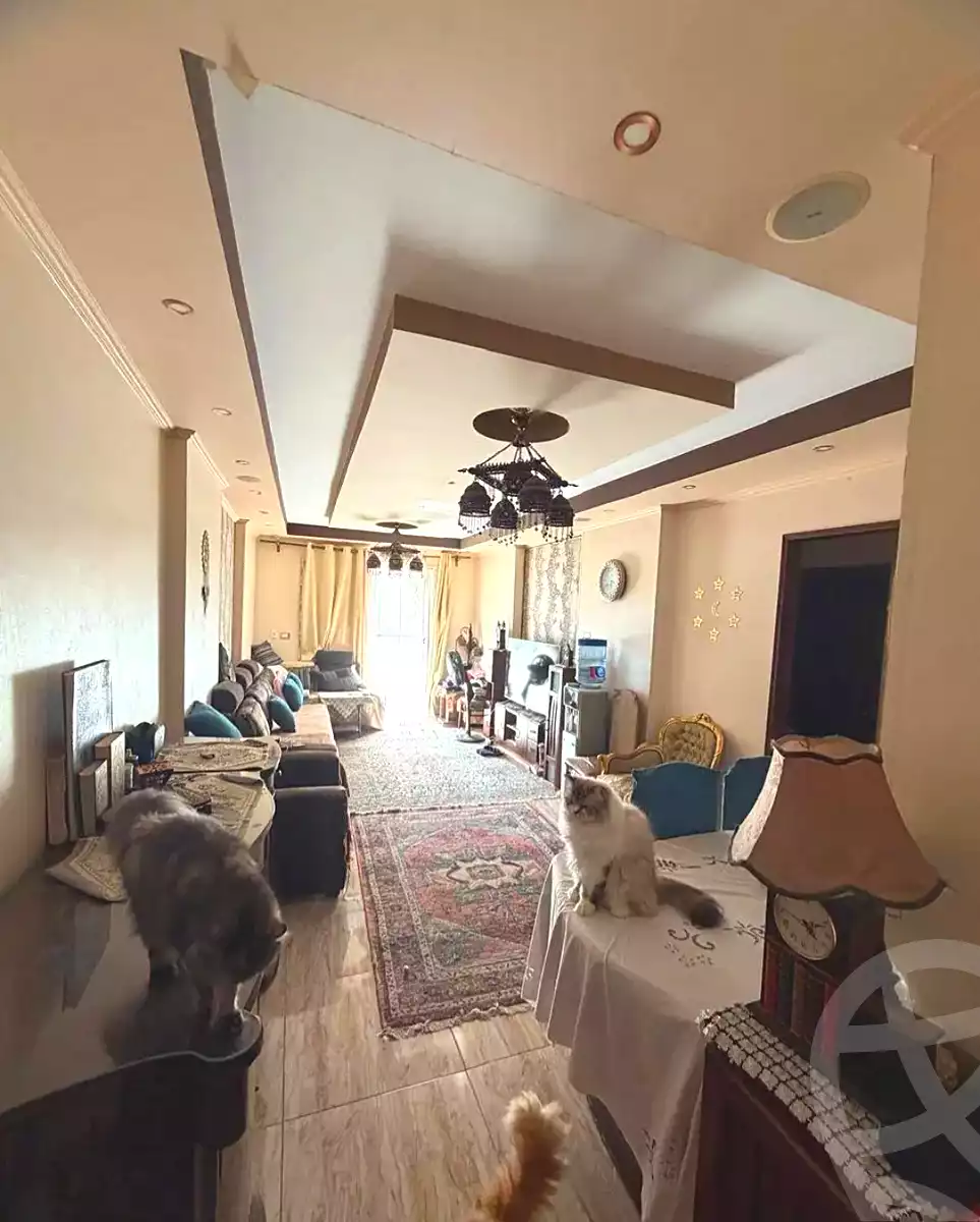 https://aqarmap.com.eg/ar/listing/7337080-for-sale-alexandria-camp-cesar