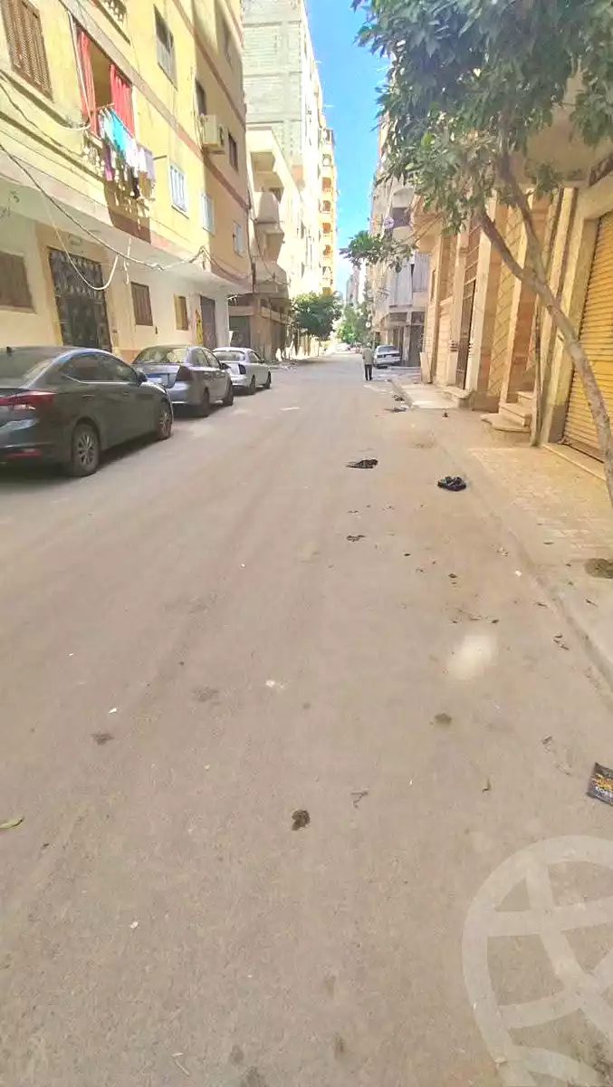 https://aqarmap.com.eg/en/listing/7339013-for-sale-alexandria-al-agamy-el-hanouvel-al-haded-we-al-soulb-st