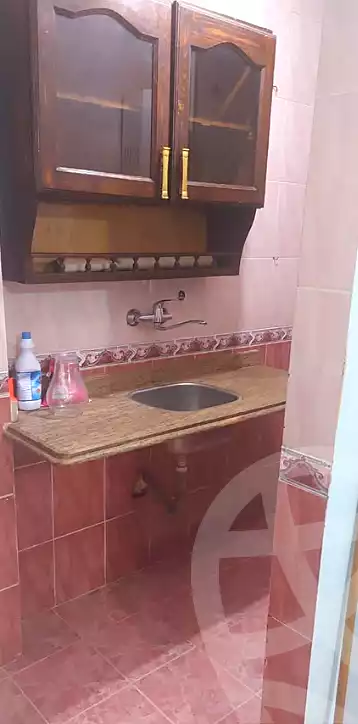 https://aqarmap.com.eg/en/listing/7341167-for-rent-alexandria-ganaklis