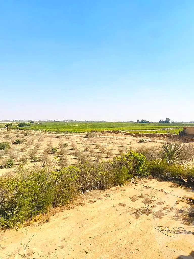 https://aqarmap.com.eg/en/listing/7342110-for-sale-cairo-el-mansuriyyah-ahmed-zaghloul-st