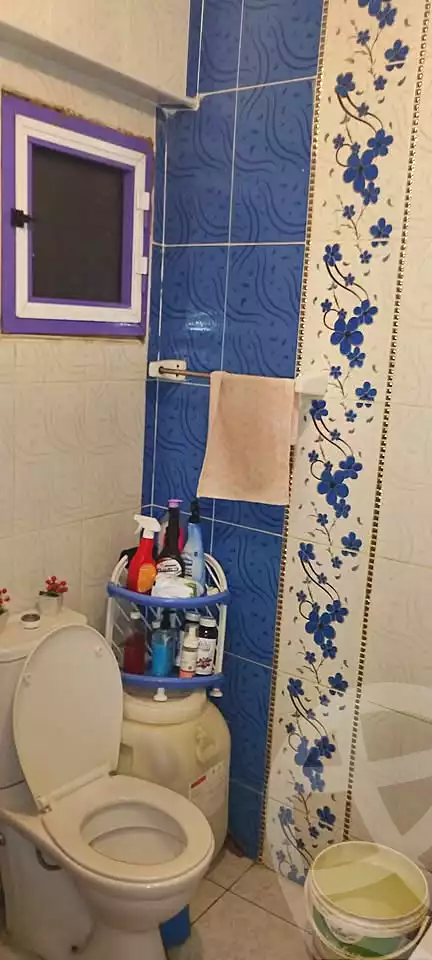 https://aqarmap.com.eg/ar/listing/7343885-for-sale-alexandria-el-dekhela