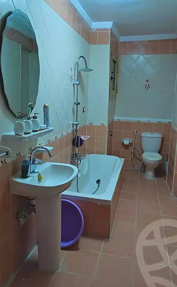 https://aqarmap.com.eg/en/listing/7344325-for-rent-alexandria-camp-cesar