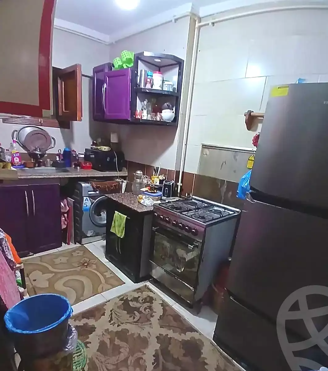 https://aqarmap.com.eg/ar/listing/7344394-for-rent-alexandria-miami-mahmoud-el-isawy-st