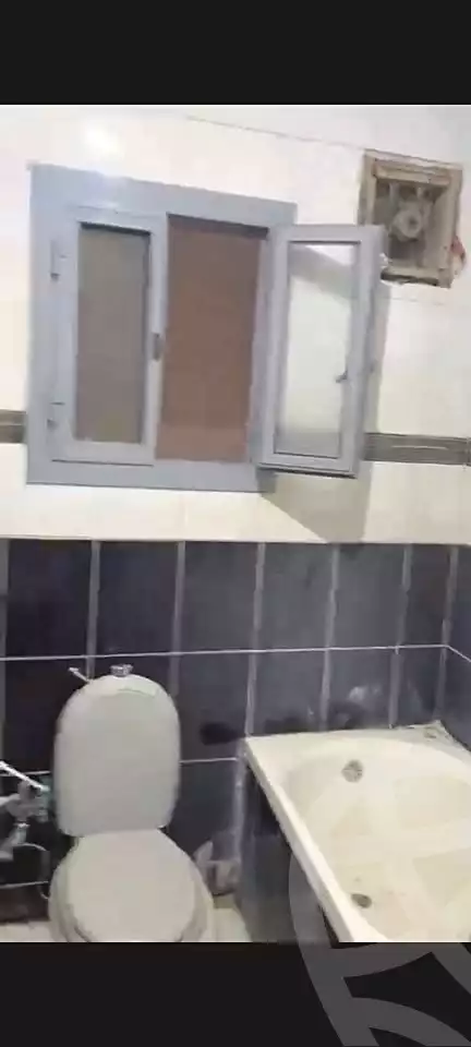 https://aqarmap.com.eg/en/listing/7344438-for-rent-cairo-faisal