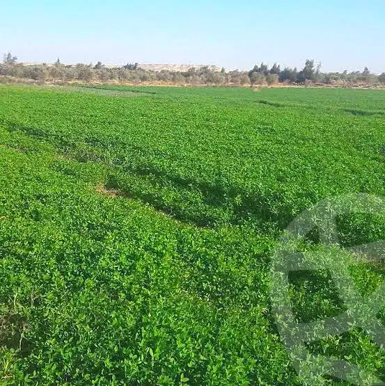 https://aqarmap.com.eg/en/listing/7349741-for-sale-beheira-badr-el-nagah