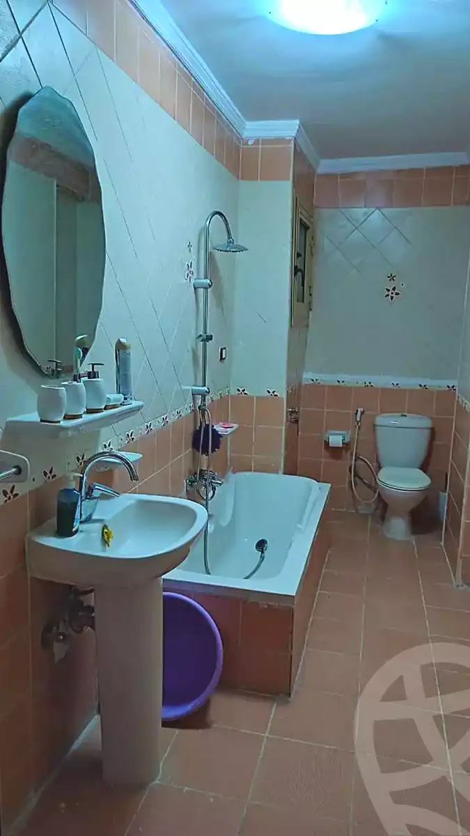 https://aqarmap.com.eg/en/listing/7350440-for-rent-alexandria-camp-cesar