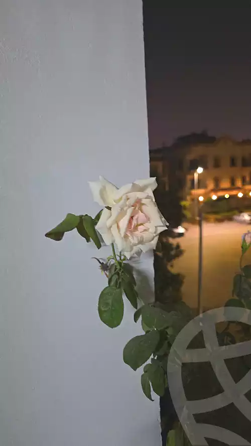 https://aqarmap.com.eg/en/listing/7351327-for-sale-cairo-new-cairo-sharq-el-akadamiya-al-tahrir-st