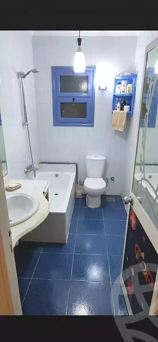 https://aqarmap.com.eg/en/listing/7351662-for-rent-cairo-faisal