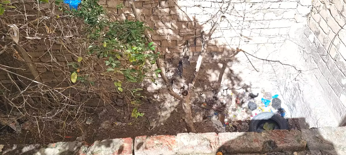 https://aqarmap.com.eg/en/listing/7352627-for-sale-alexandria-al-agamy-lbytsh-al-samalehy-1-st
