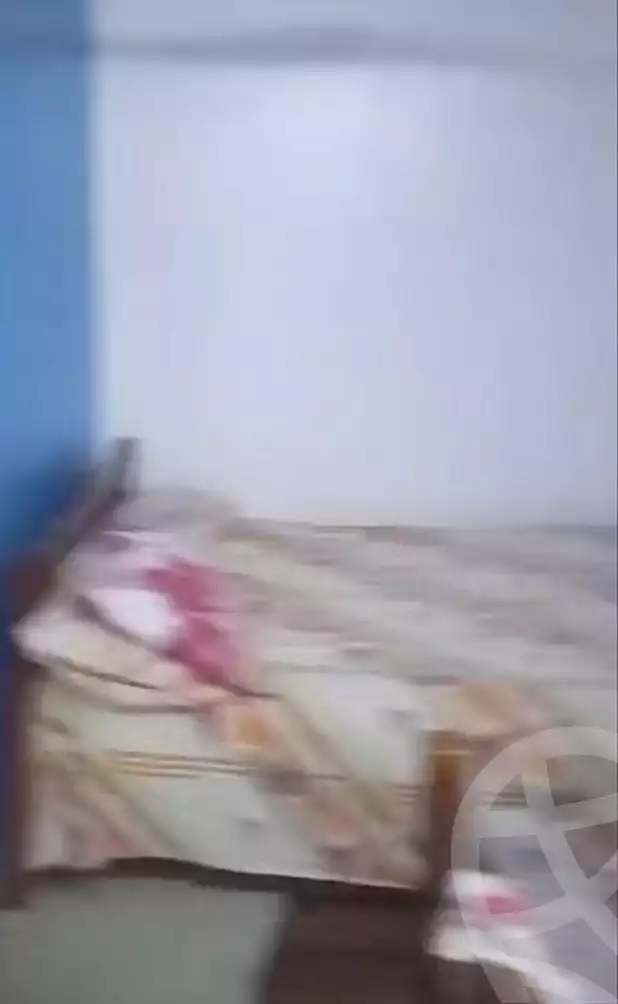 https://aqarmap.com.eg/en/listing/7352812-for-sale-cairo-ain-shams-mnshy-lthryr