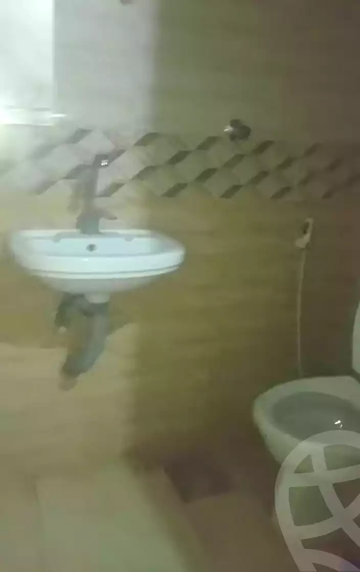 https://aqarmap.com.eg/en/listing/7353137-for-rent-cairo-ljyz-el-moneeb
