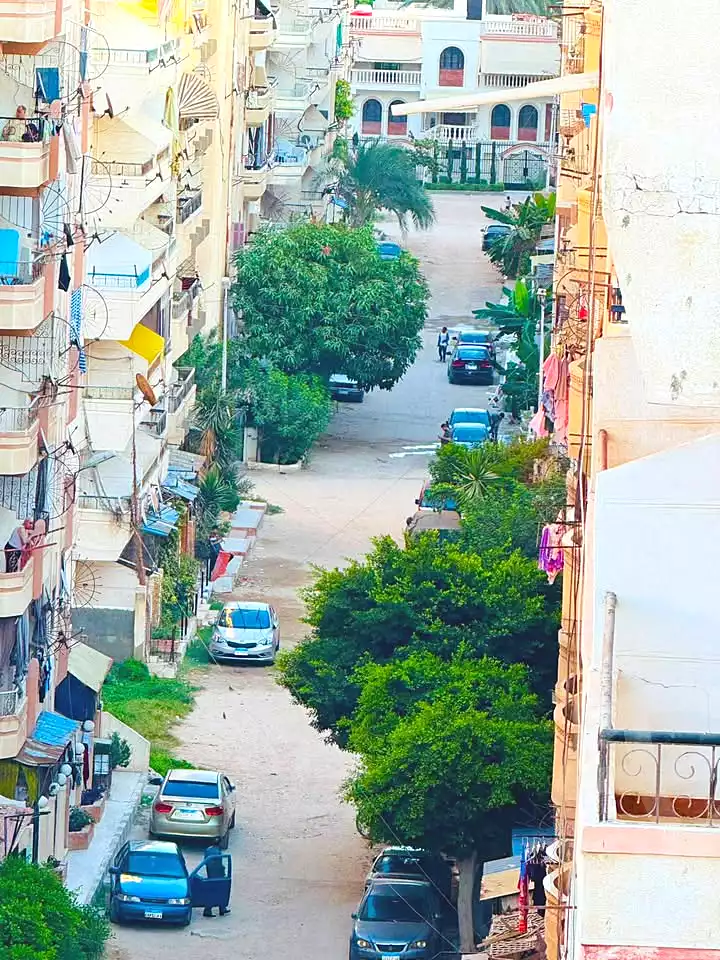 https://aqarmap.com.eg/en/listing/7354011-for-sale-alexandria-al-agamy-shataa-el-nakheel