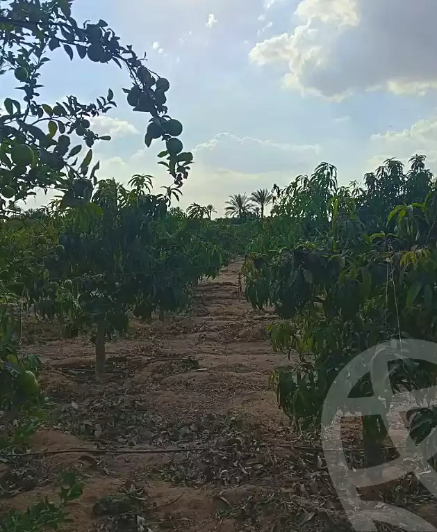 https://aqarmap.com.eg/ar/listing/7356847-for-sale-alexandria-cairo-alexandria-desert-road
