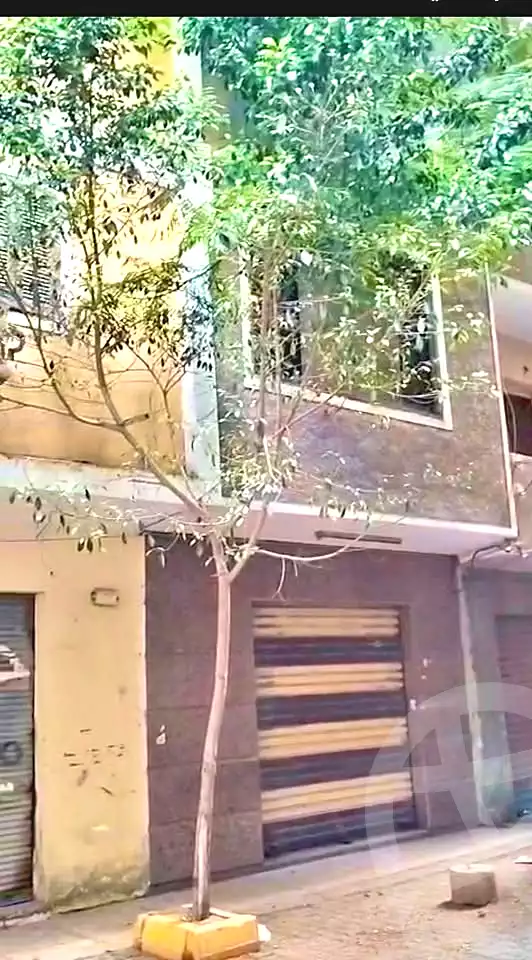 https://aqarmap.com.eg/en/listing/7358164-for-sale-cairo-faisal-hassan-mohamed-st