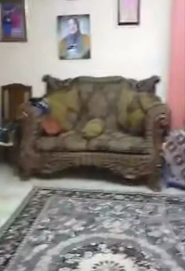 https://aqarmap.com.eg/en/listing/7358239-for-sale-cairo-ain-shams-el-naam-wafik-abbas-st