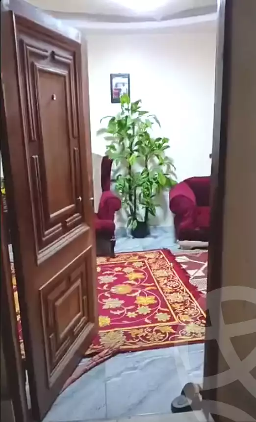 https://aqarmap.com.eg/ar/listing/7358293-for-sale-cairo-ain-shams-ain-shams-el-sharkia-el-asal-st