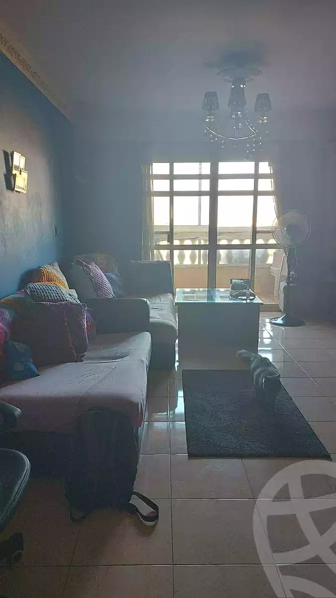 https://aqarmap.com.eg/ar/listing/7359740-for-sale-alexandria-moharram-bey