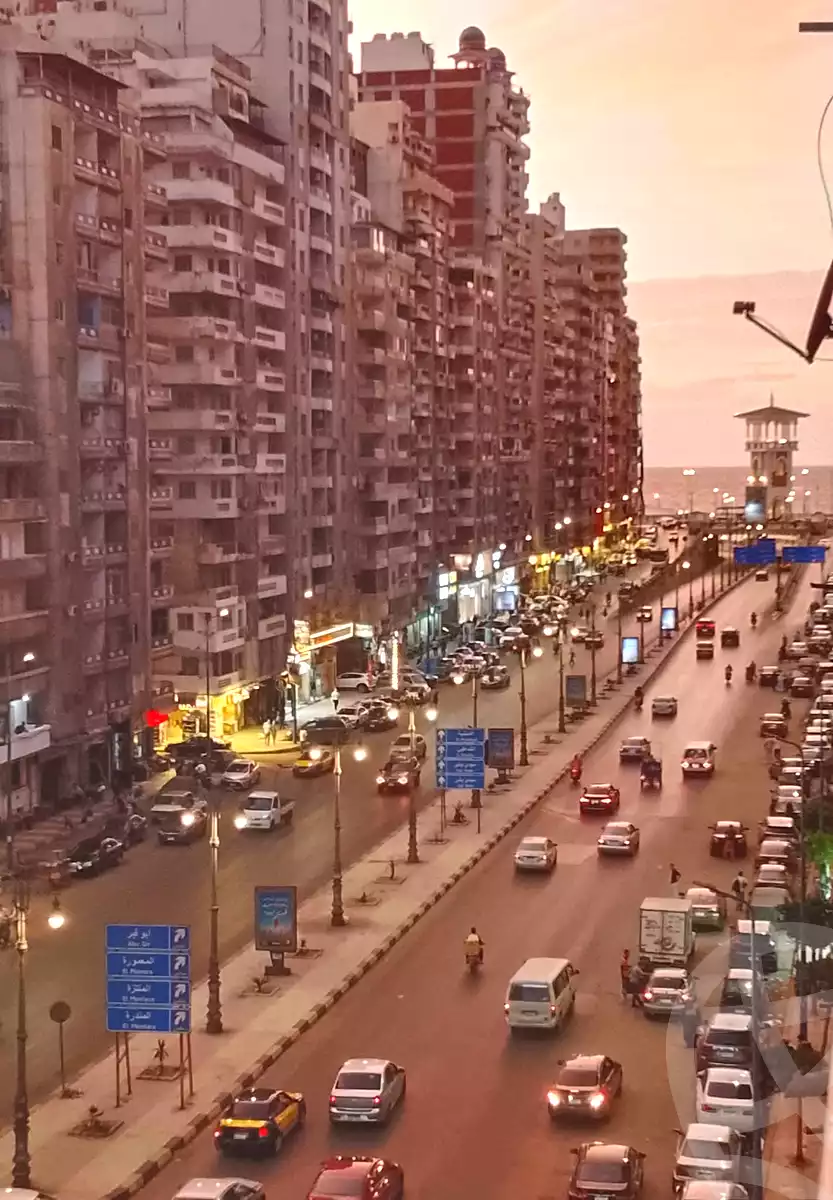 https://aqarmap.com.eg/en/listing/7362696-for-sale-alexandria-el-asafra-shr-45