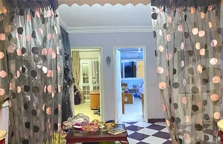 https://aqarmap.com.eg/en/listing/7362825-for-rent-cairo-ain-shams