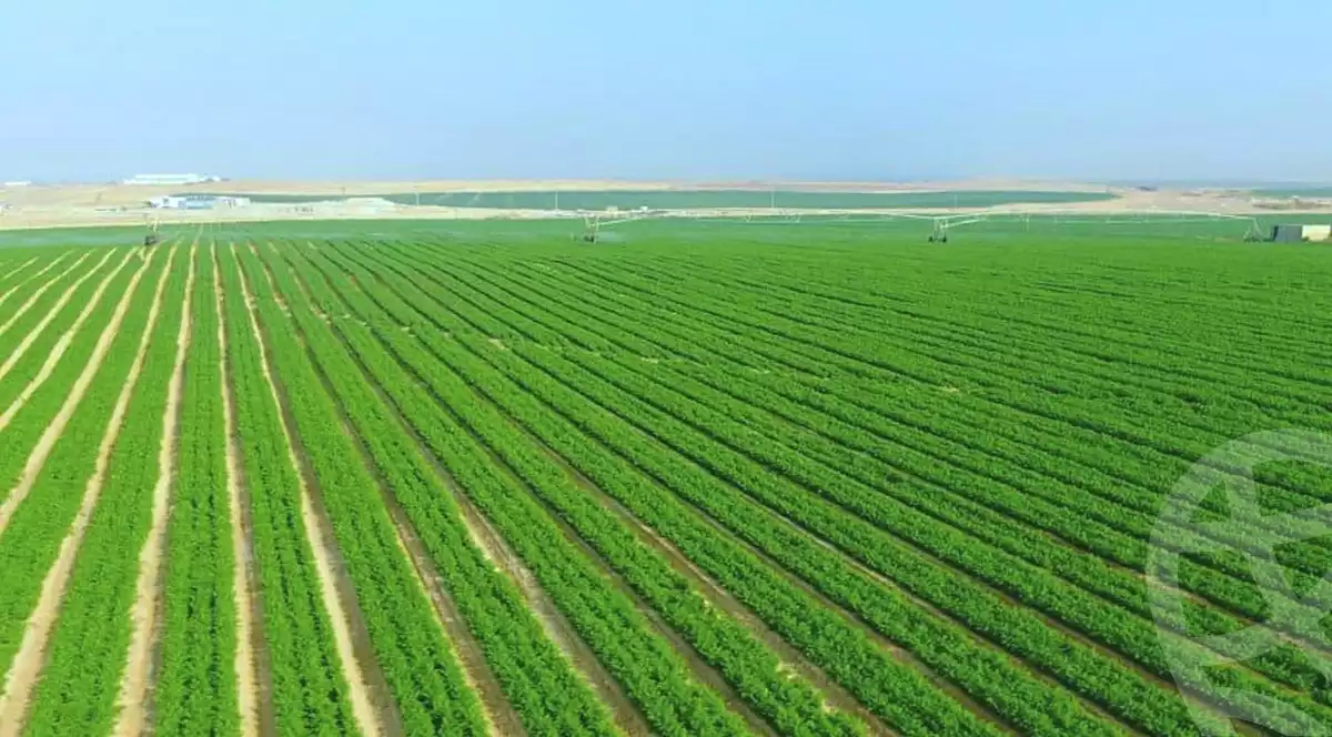 https://aqarmap.com.eg/ar/listing/7363006-for-sale-beheira-wadi-el-natrun-el-gaar