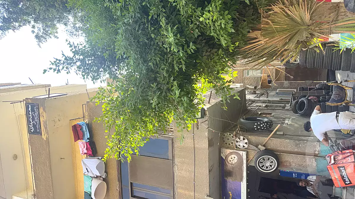 https://aqarmap.com.eg/en/listing/7365002-for-sale-cairo-helwan-mohamed-sayed-ahmed-st