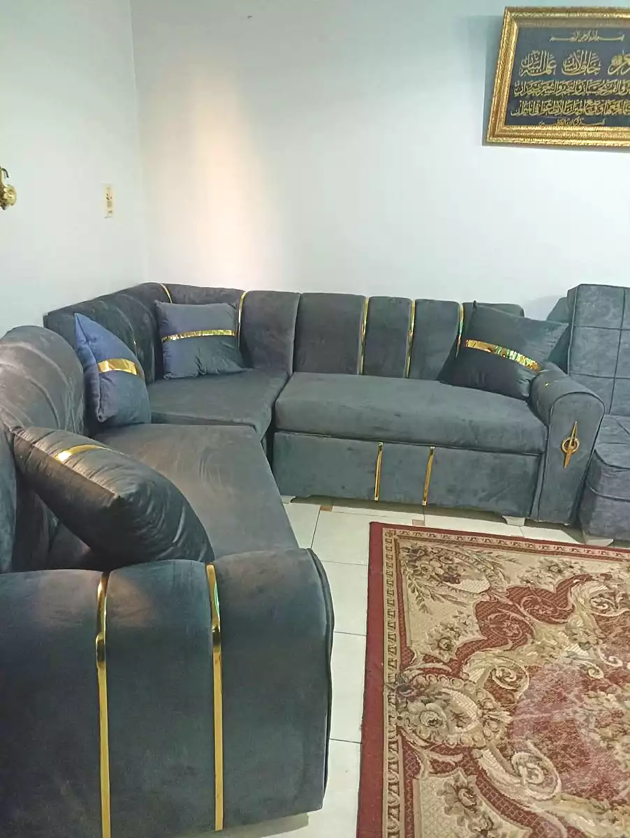 https://aqarmap.com.eg/en/listing/7367022-for-rent-cairo-faisal-el-maryotyah