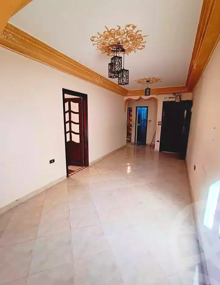 https://aqarmap.com.eg/ar/listing/7369948-for-rent-alexandria-fyktwry-shr-jml-bd-lnsr