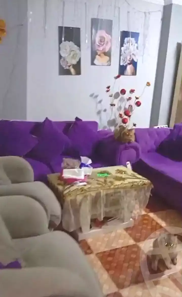 https://aqarmap.com.eg/ar/listing/7370052-for-sale-alexandria-lsywf-el-falki