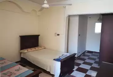 Furnished Apartment For Rent in El Mandara 225