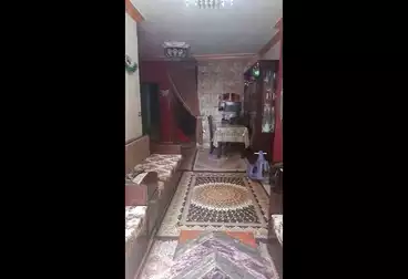 شقق للبيع - 2 غرف - بالدور 4