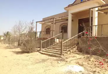 Separate Villa For sale in El Reef El Aorobee