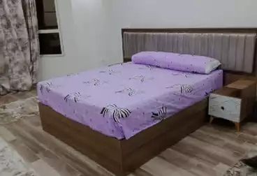 Furnished Apartment For rent in Hosni AhmedNasr City, 6th District  Khalaf St. 2000 ج