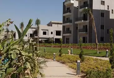 Apartments For sale in Sun Capital Compound - Arabia