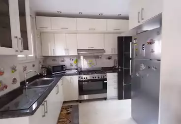 Furnished Apartment For rent in El Mostashareen Compound