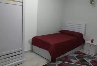 Furnished apartment for rent, 150 sqm, Al-Manial, Al-Qasr Al-Aini Street 