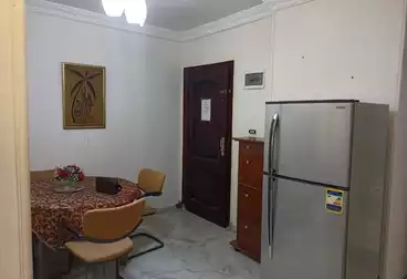 Furnished Apartment For rent in Gamal Abdel Nasser St. per day 700