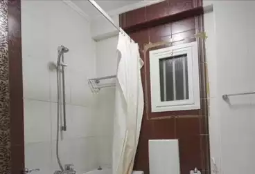 Apartment for rent in Zamalek