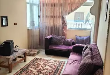 Furnished Apartment For rent in El Warsha St. الايجار اليومى 280