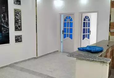 https://aqarmap.com.eg/en/listing/4903721-for-sale-alexandria-l-jmy-shataa-el-nakheel