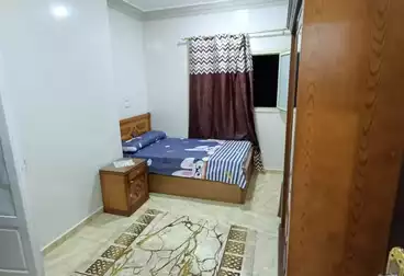 https://aqarmap.com.eg/en/listing/4904298-for-rent-dakahlia-mansoura-shr-ljl