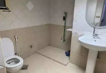 https://aqarmap.com.eg/en/listing/4909288-for-rent-cairo-faisal