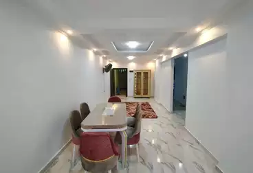 Furnished Apartment For rent in Malak Hefni St.