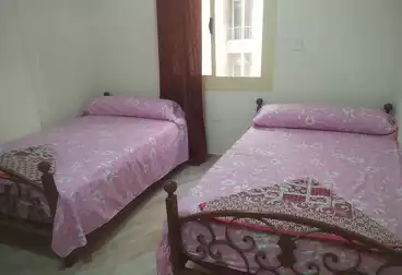 https://aqarmap.com.eg/ar/listing/4929857-for-rent-marsa-matruh-marsa-matrouh-city