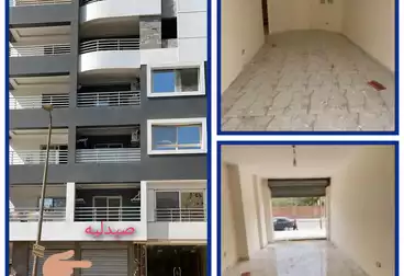 https://aqarmap.com.eg/en/listing/4947861-for-sale-cairo-nasr-city-mostafa-el-nahaas-st