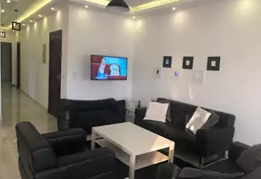 Furnished Apartment For rent in Taha Hussein St.