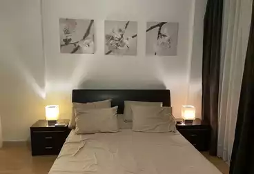 Furnished Apartment For rent in Street 47